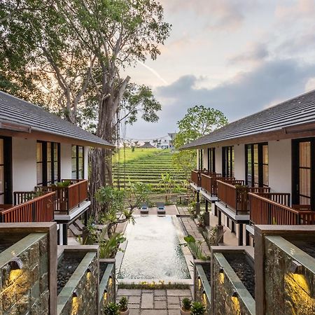 Paripadi Studio Canggu Eksteriør billede